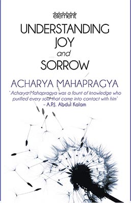 Understanding Joy And Sorrow