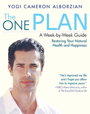 The One Plan- A Week-by-Week Guide to Restoring Your Natural Health and Happiness